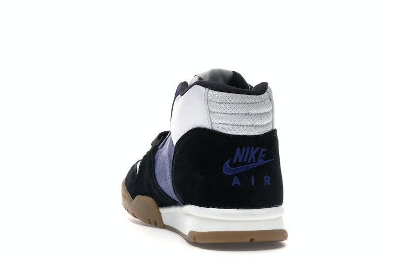 Nike SB Air Trainer 1 Polar Skate Co