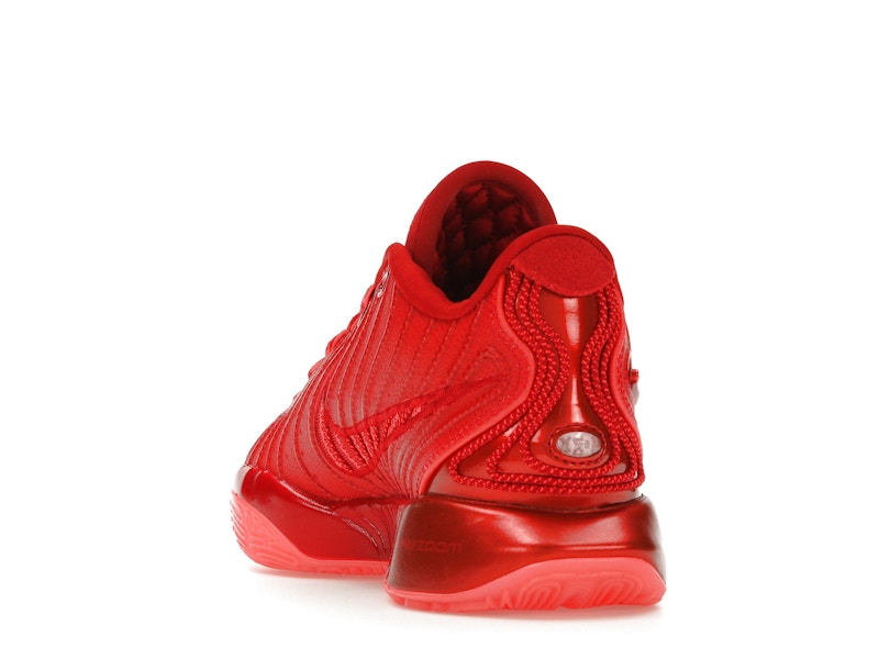 Nike LeBron 21 James Gang