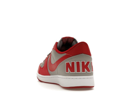 Nike Terminator Low UNLV
