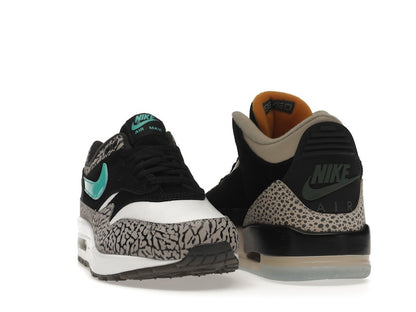 Jordan 3 Retro & Nike Air Max 1 atmos Pack