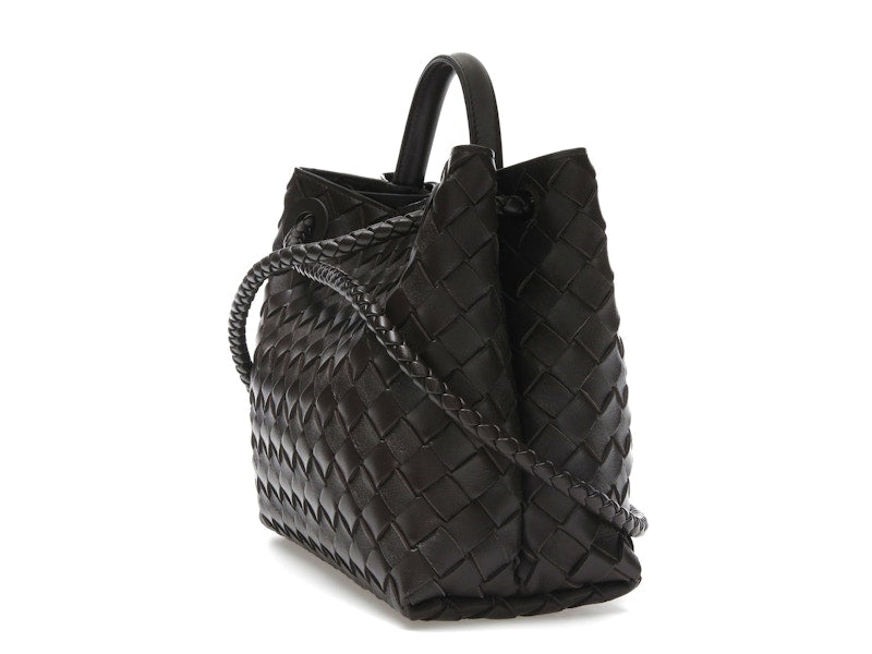 Bottega Veneta Small Andiamo Fondant