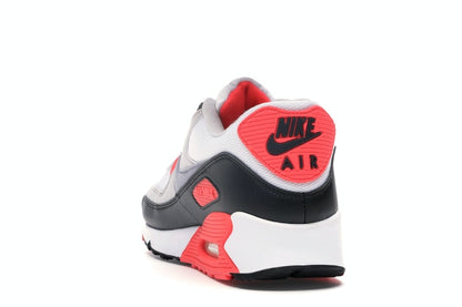 Nike Air Max 90 Infrared (2010)