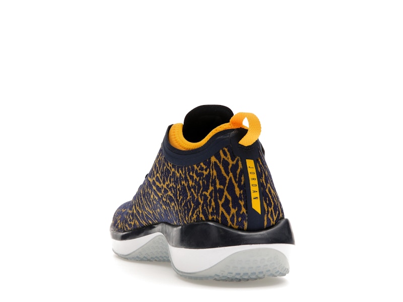 Jordan Trainer 1 Low Michigan