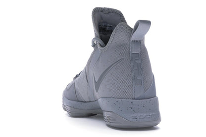 Nike LeBron 14 Silver