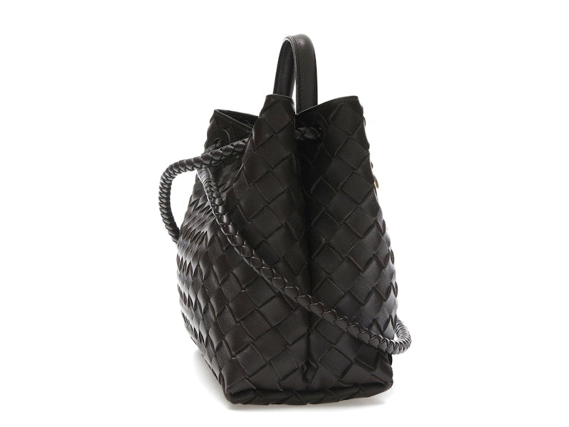 Bottega Veneta Small Andiamo Fondant
