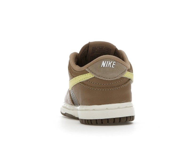 Nike Dunk Low Undefeated Canteen Dunk vs. AF1 Pack (TD)