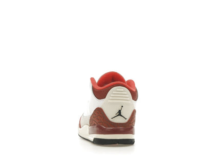 Jordan 3 Retro SE Dunk on Mars (TD)