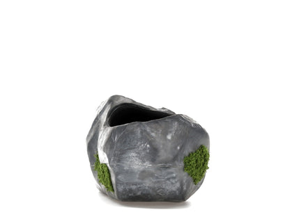 Bravest Studios Rock Shoe Canyaon Granite