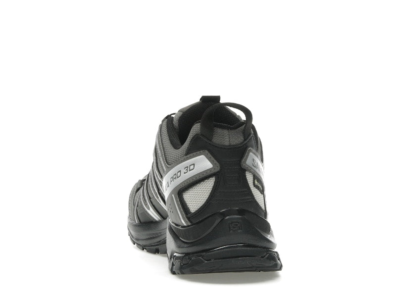 Salomon XA Pro 3D Gore-Tex Pewter Silver Cloud