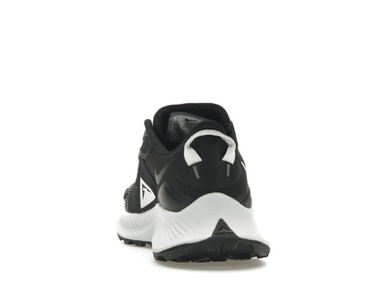 Nike Pegasus Trail 2 Black Platinum (Women's)