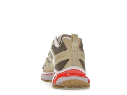 Salomon XT-6 Expanse size? Exclusive Annecy Hotel