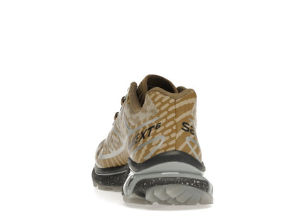 Salomon XT-6 Palace Kelp Quarry