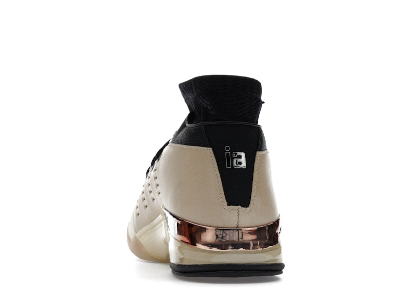 Jordan 17 Retro Low SP Infinite Archives