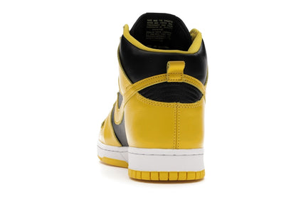 Nike Dunk High Iowa (2020)