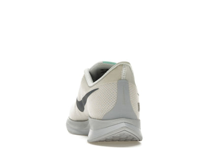 Nike Zoom Pegasus Turbo Berlin