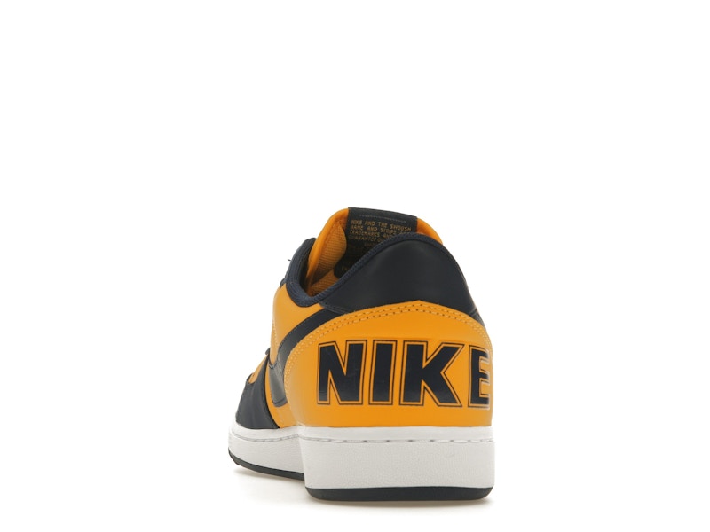 Nike Terminator Low Michigan