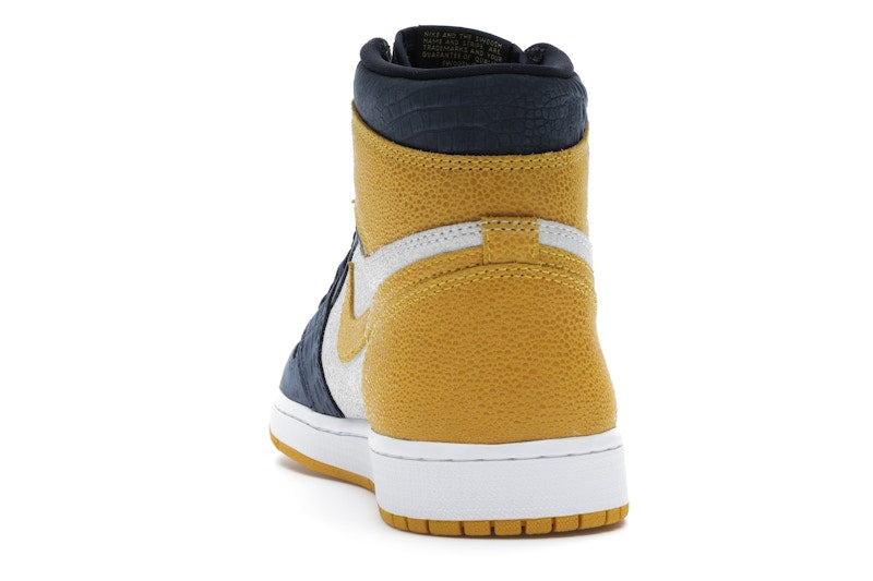 Jordan 1 Retro High Michigan PE