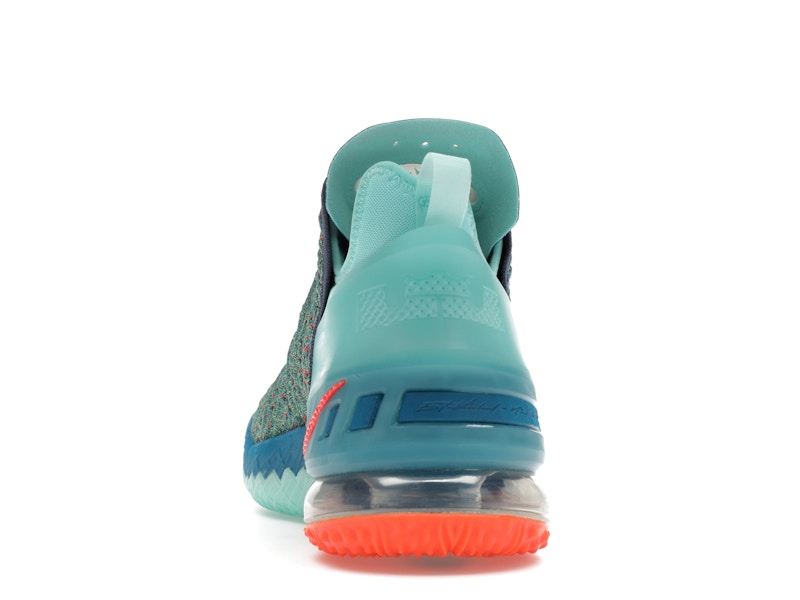 Nike LeBron 18 We Are Family