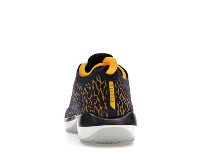Jordan Trainer 1 Low Michigan