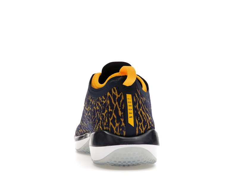 Jordan Trainer 1 Low Michigan