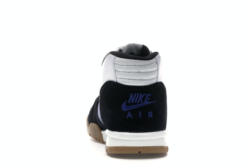 Nike SB Air Trainer 1 Polar Skate Co