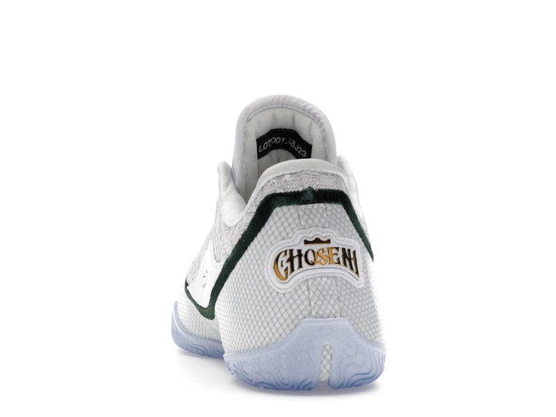 Nike LeBron 23 From This Point Forward