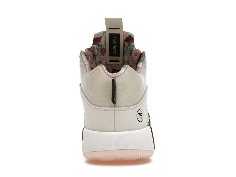 Jordan XXXV Paris