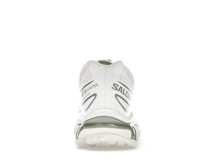 Salomon XT-6 White/Ftw Silver