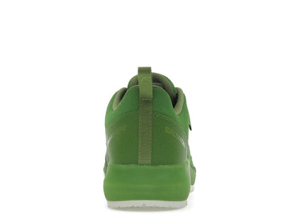 Salomon Alpinway SP2 Philéo Landowski Treetop