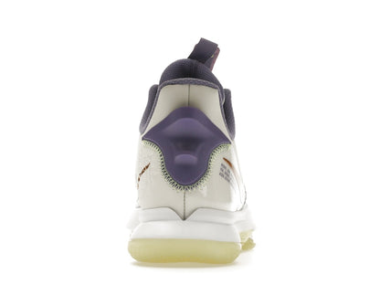 Nike LeBron Witness 5 Summit White Metallic Bronze