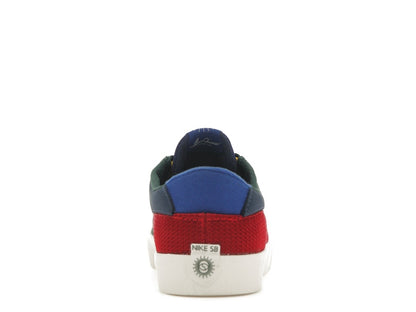 Nike SB Shane Multicolor