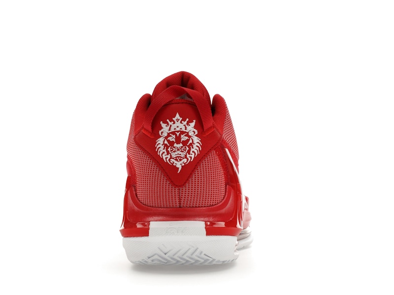 Nike LeBron Witness 7 TB University Red