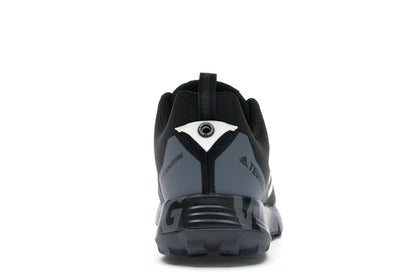adidas Terrex Two GTX White Mountaineering