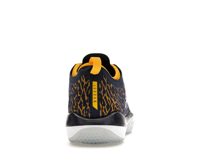 Jordan Trainer 1 Low Michigan