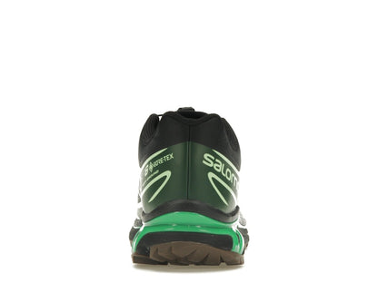 Salomon Advanced XT-6 Gore-Tex Eden Green Ash
