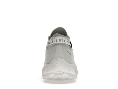 Nike Pegasus Trail 2 Gore-Tex Pure Platinum