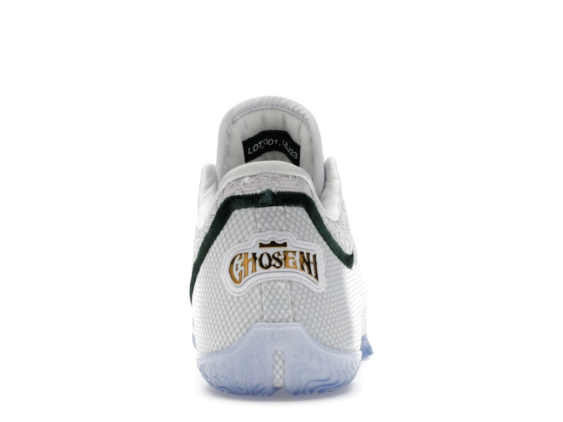 Nike LeBron 23 From This Point Forward