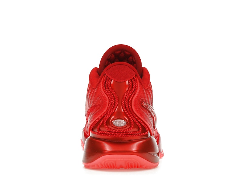 Nike LeBron 21 James Gang