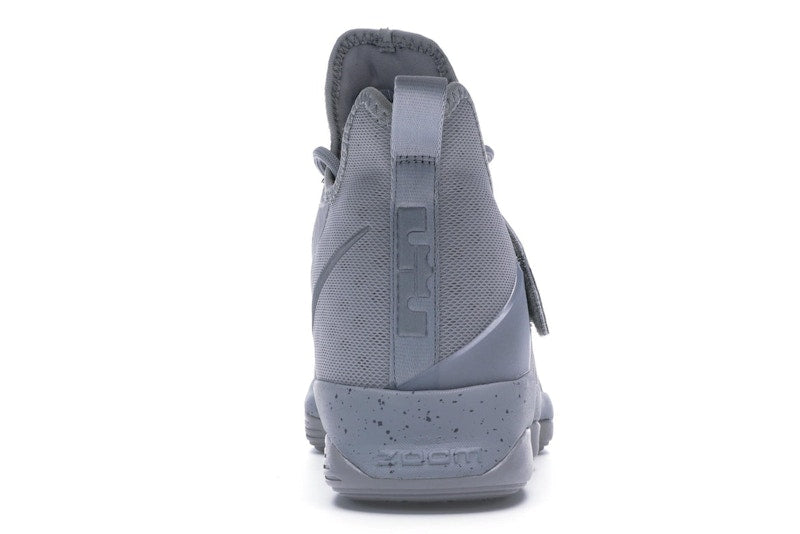 Nike LeBron 14 Silver