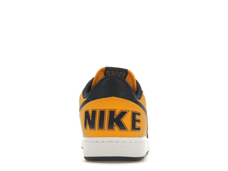 Nike Terminator Low Michigan