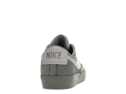Nike SB Blazer Low FPAR Cool Grey