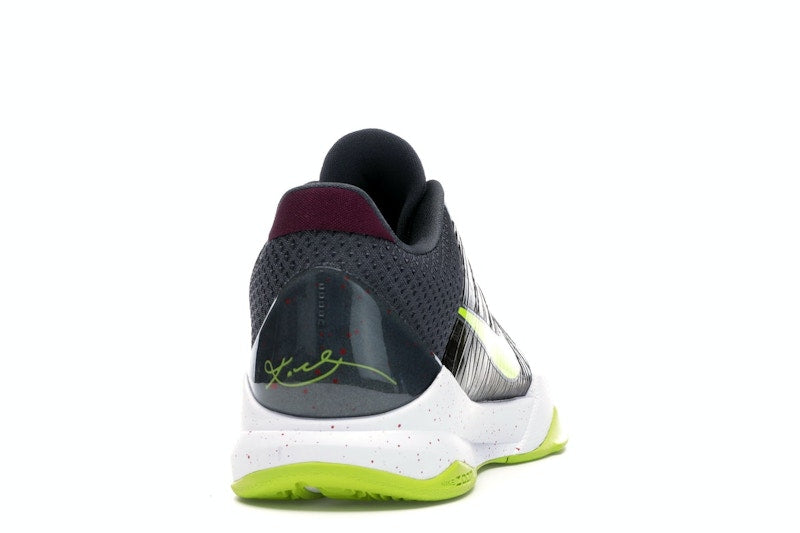 Nike Kobe 5 Protro Chaos