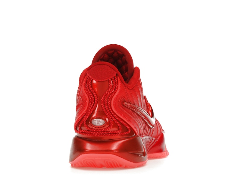 Nike LeBron 21 James Gang