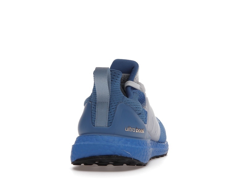adidas Ultra Boost 2.0 DNA Katie Ledecky (Women's)