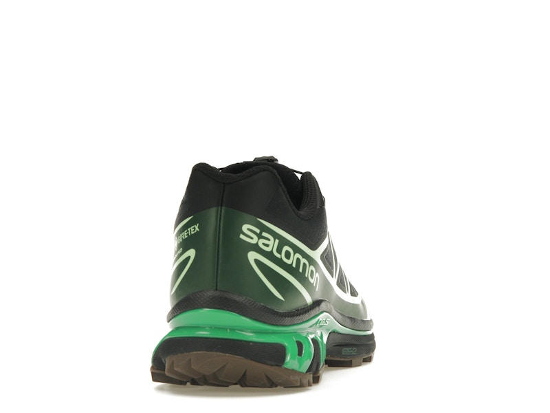 Salomon Advanced XT-6 Gore-Tex Eden Green Ash