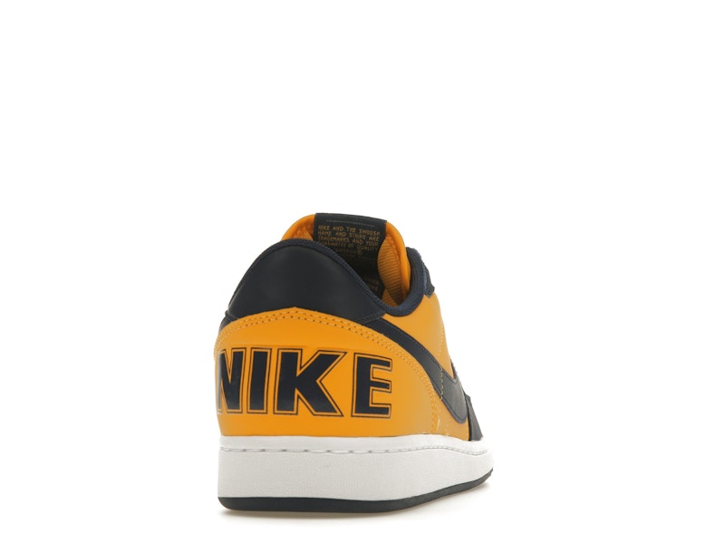 Nike Terminator Low Michigan