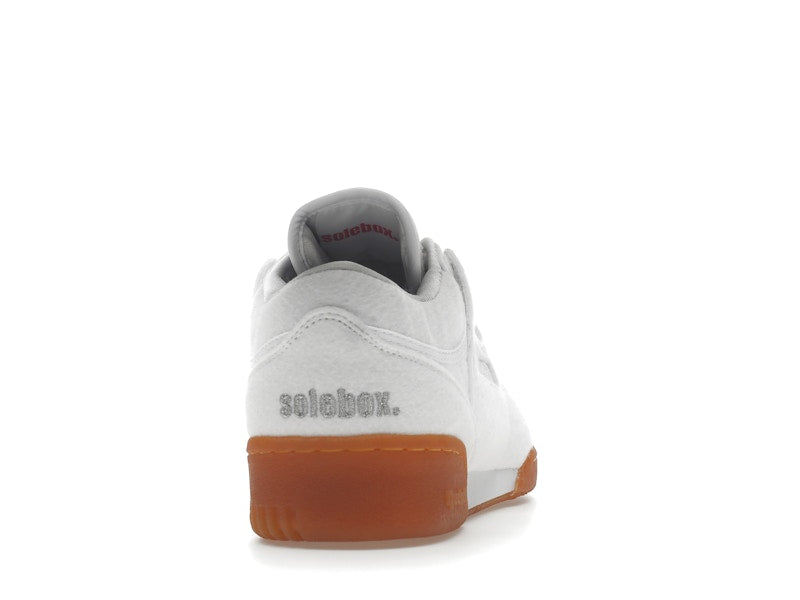 Reebok Workout Lo Solebox Year of Fitness