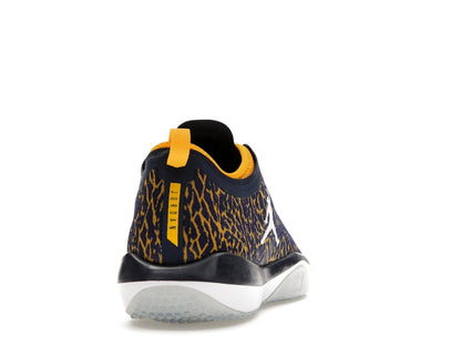 Jordan Trainer 1 Low Michigan