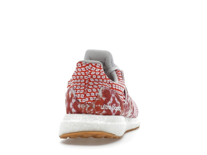 adidas Ultra Boost 5.0 DNA Nature Lab (Women's)