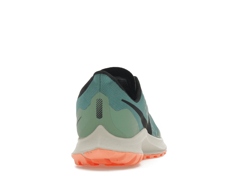 Nike Zoom Pegasus 36 Trail Gore-Tex Bicoastal (Women's)